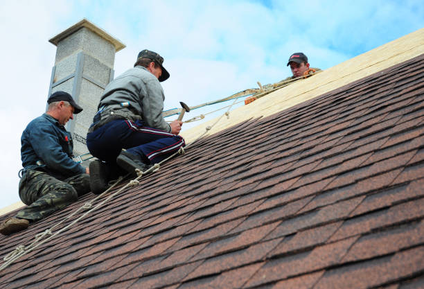 Best Storm Damage Roof Repair  in Carroll Valley, PA